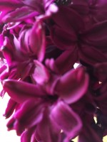 Artikel mit Freitext