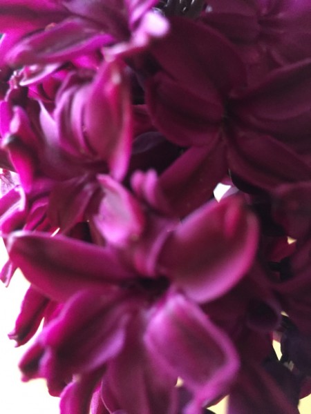 Artikel mit Freitext